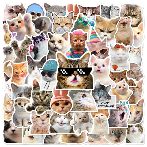 Chats (lot 50 autocollants)